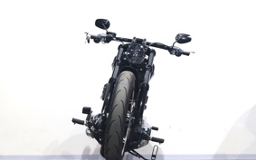 HARLEY FXBRS 2021 YHK