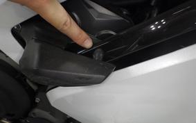 TRIUMPH DAYTONA660 2024