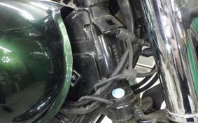 KAWASAKI W800 2014 EJ800A