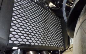 HONDA CB750 HORNET 2025 RH24