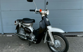HONDA LITTLE CUB C50