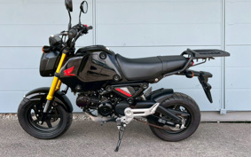 HONDA GROM JC92