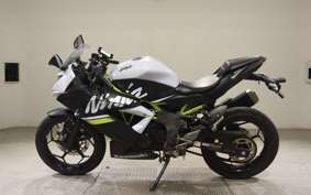KAWASAKI NINJA 250 SL 2018