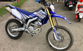 YAMAHA WR250R DG15J