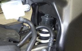 HONDA CBR250RR MC51