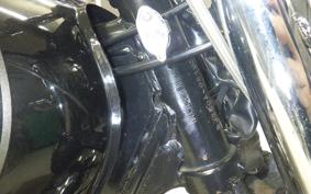 KAWASAKI ESTRELLA RS 2009 BJ250A
