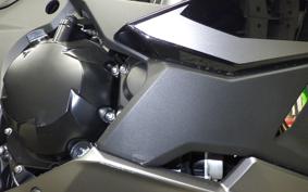 KAWASAKI NINJA 1000 SX 2025 ZXT02K