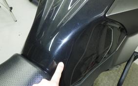 KAWASAKI VERSYS X250Aﾂｱﾗｰ LE250D
