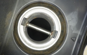 HONDA FORESIGHT SE MF04