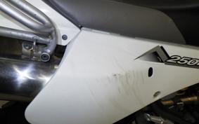 SUZUKI DJEBEL 250 XC 1994 SJ45A