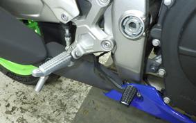 KAWASAKI ZX-4RR 2024 ZX400P