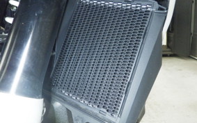 BMW R1300GS 2025