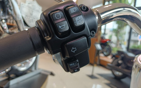 HARLEY  HARLEY FLFBS 2025 YGK