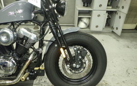 OTHER THUNDER 250 2025
