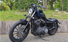HARLEY HARLEY XL883N 2013 LE2