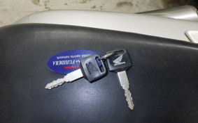 HONDA HORNET 250 2010 MC31