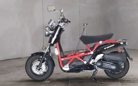 OTHER DEIRINB-BONE ..