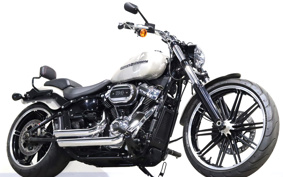 HARLEY FXBRS 2018 YHK