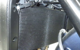 YAMAHA MT-09 A 2023 RN69J