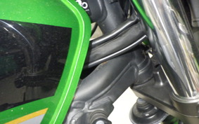 KAWASAKI ZRX1200 D 2013 ZRT20D