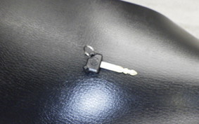 YAMAHA VOX 2026 SA31J