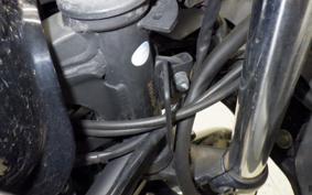 KAWASAKI NINJA 250 2025 EX250L