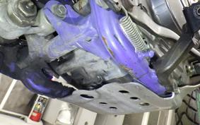 YAMAHA TT250R RAID 2013 4GY