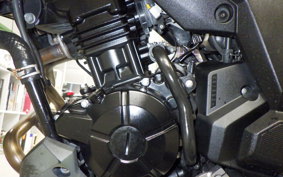 KAWASAKI VERSYS X250 A LE250D