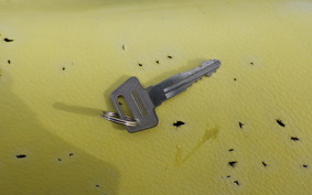 SUZUKI RMX250 S SJ13A