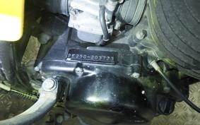 SUZUKI PE250 2025 PE250