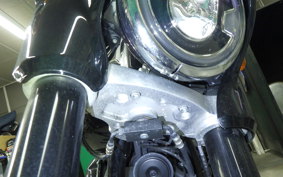 HARLEY FLSB 1750 2022