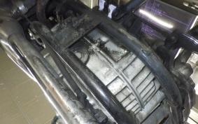 YAMAHA VIRAGO 250 2007 3DM