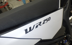 YAMAHA WR250X 2021 DG15J