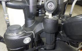 OTHER +ENFIELD HUNTER350 2025