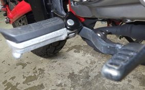 HONDA MONKEY 125 2025 JB05
