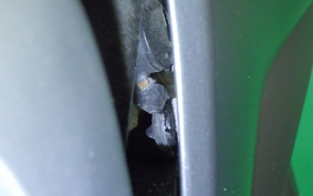 YAMAHA YZF-R25 2011 RG10J