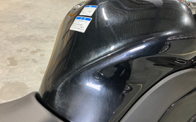 KAWASAKI NINJA 1000 SX 2024 ZXT02K