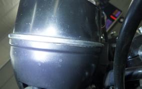 KAWASAKI Z900 2026 Z1F