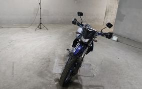KAWASAKI D-TRACKERX LX250V