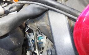 HONDA HORNET 250 2011 MC31