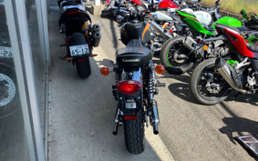KAWASAKI W800 FINAL ED 2019 EJ800A