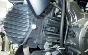 KAWASAKI Z125 PRO BR125H