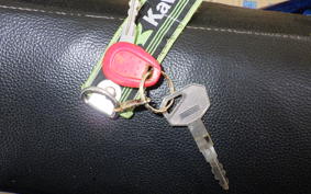 KAWASAKI KLX250D TRACKER X 2021 LX250V