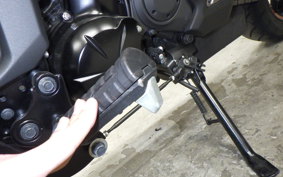 KAWASAKI VULCAN 650 SA 2024 EN650M