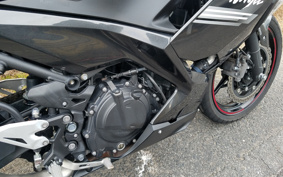 KAWASAKI NINJA 250 EX250P