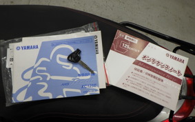 YAMAHA AXIS 125 TREET SE53J