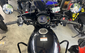 HONDA REBEL 1100 DCT 2024 SC83