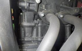 YAMAHA YZF-R25 2020 RG43J