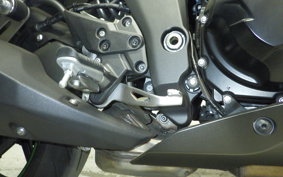 KAWASAKI NINJA 1000 SX 2024 ZXT02K