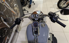 HARLEY FLFB 2026 YF9